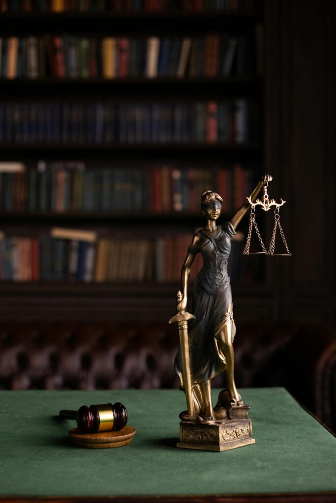 Court Representation Court Representation